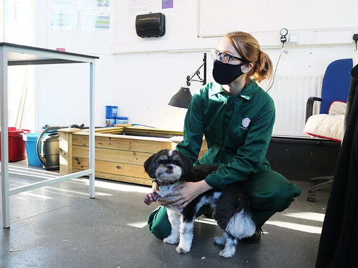 Practice makes pawfect for animal management students